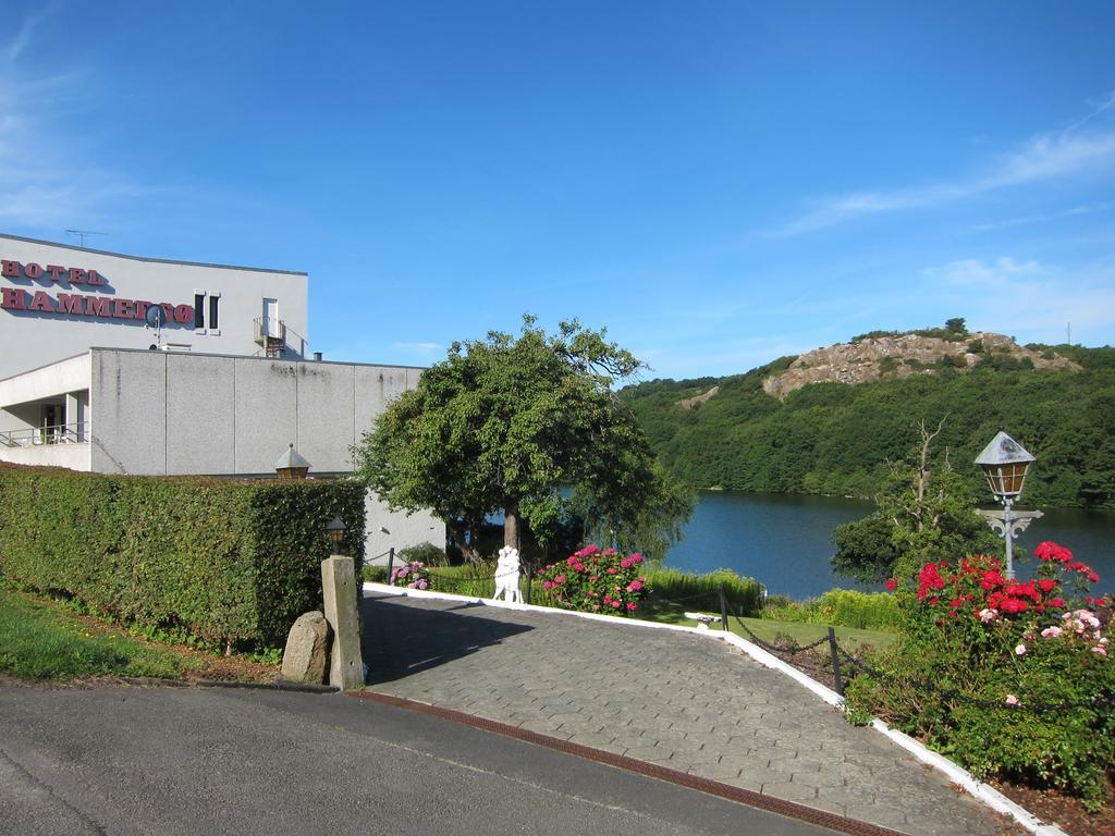 Hotel Hammerso Аллинге Экстерьер фото